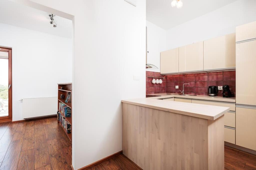 Apartment Of The Kings - View Krakow